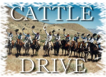 cattledrive1